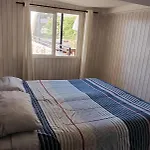 Wild Bellavista Hostel