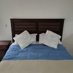 Rentapartnuevadelyon