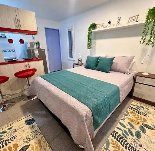 Apartamento Full Providencia