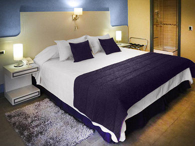 Hotel Principado Lastarria 3*