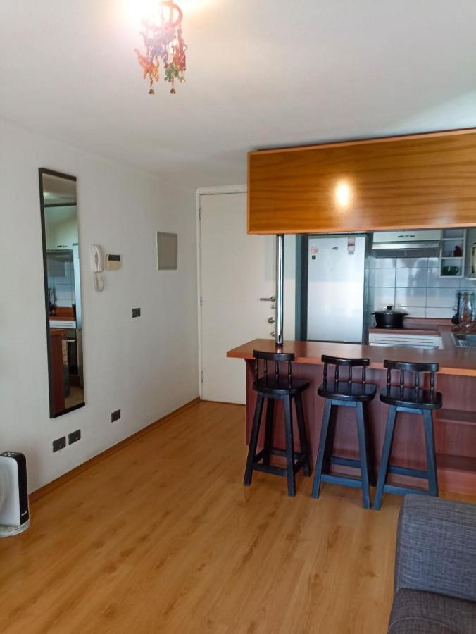 Apartamento Bellavista Dardignac 28 Santiago de Chile