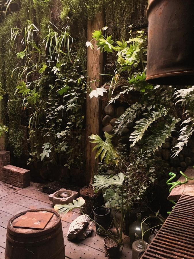 Casa Lucrecia Bed & Breakfast *