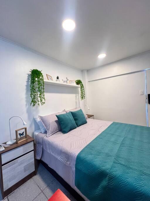 Apartamento Full Providencia