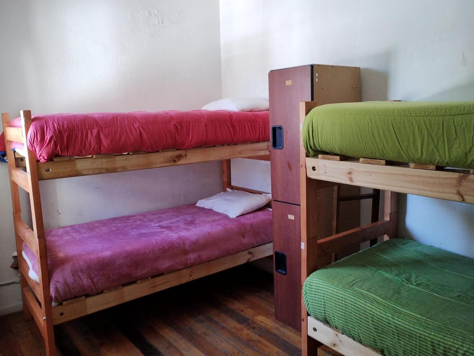 Wild Bellavista Hostal Santiago de Chile