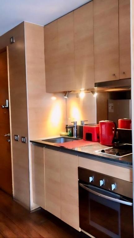 Providencia Studio Con Terraza Apartamento