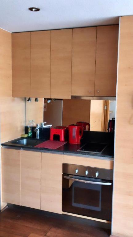 Providencia Studio Con Terraza