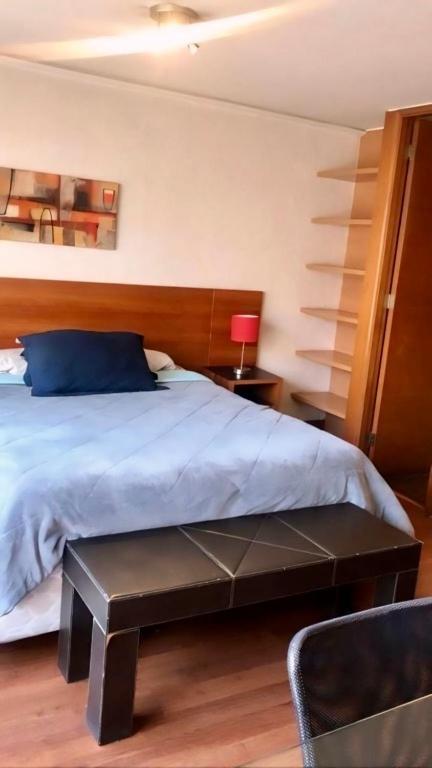 Providencia Studio Con Terraza
