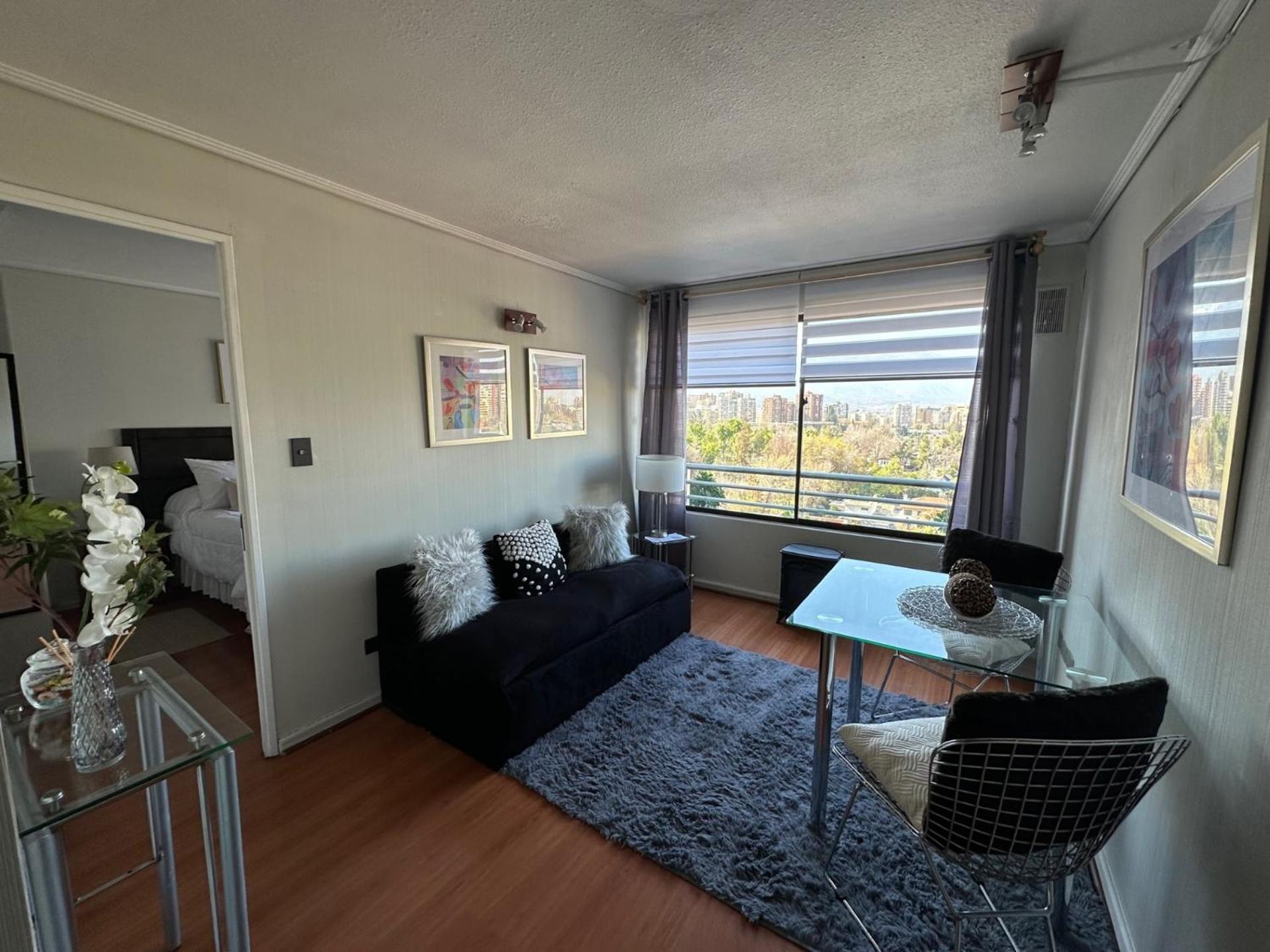 Apartamento Depto Condes