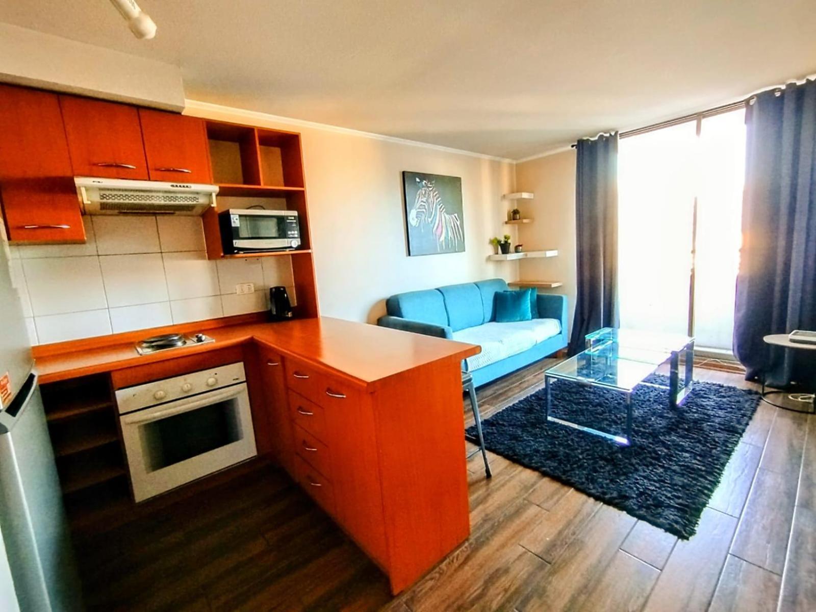 Lastarria Apartamento