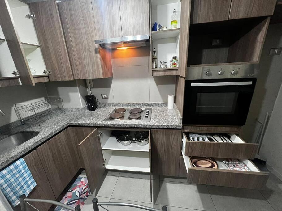 Acogedor Departamento En Apartment Santiago