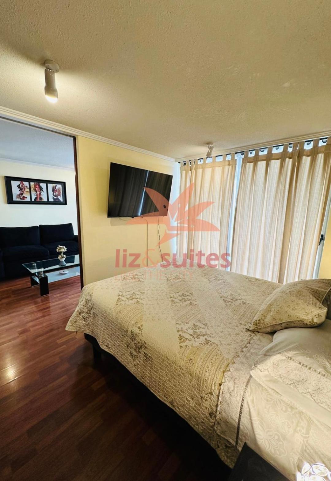 Moderno Y Acogedor Sector Privilegiado Providencia Apartamento Santiago