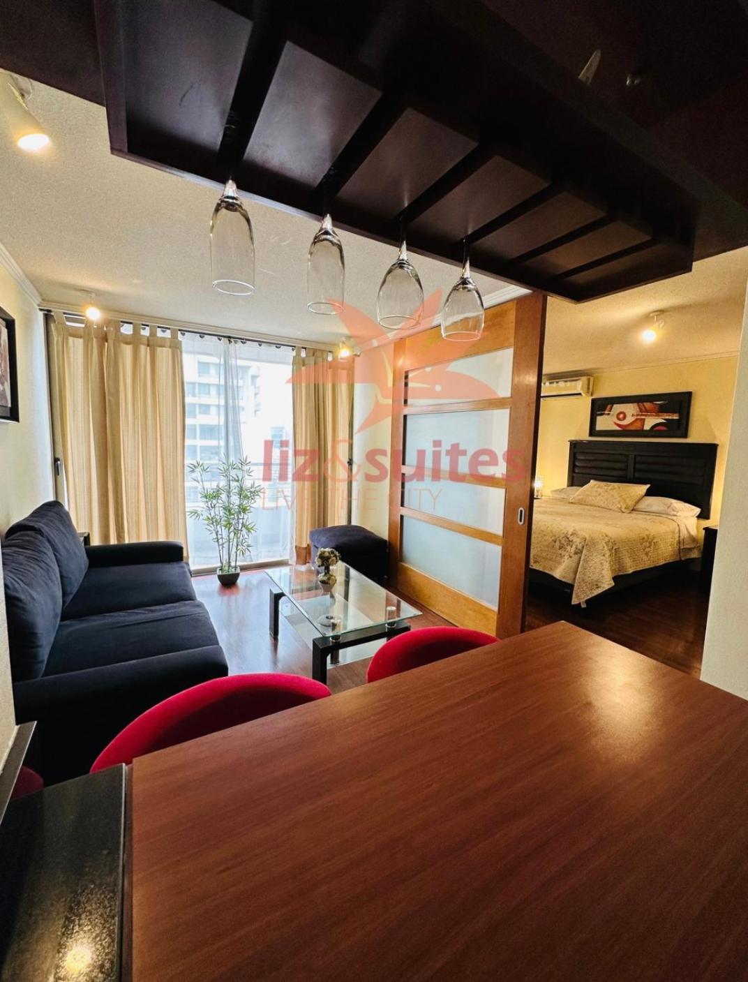 Moderno Y Acogedor Sector Privilegiado Providencia Apartamento