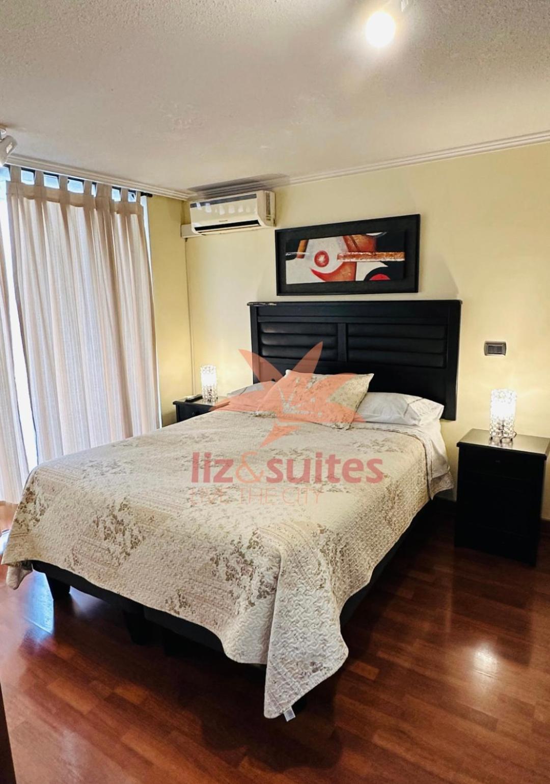 Moderno Y Acogedor Sector Privilegiado Providencia Apartamento Santiago