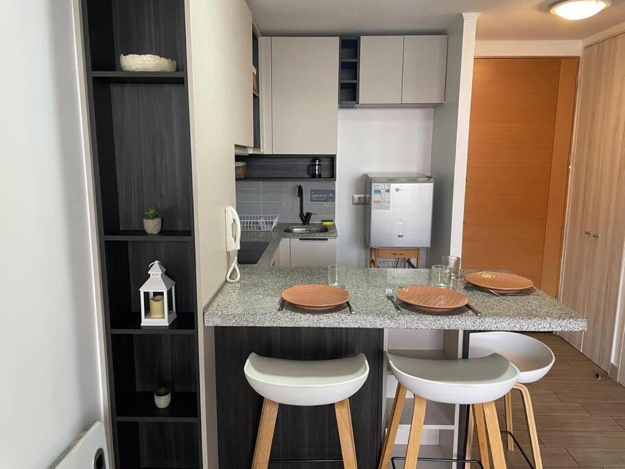 Departamento Renovado Cercano A Parque O'higgins Apartment Santiago