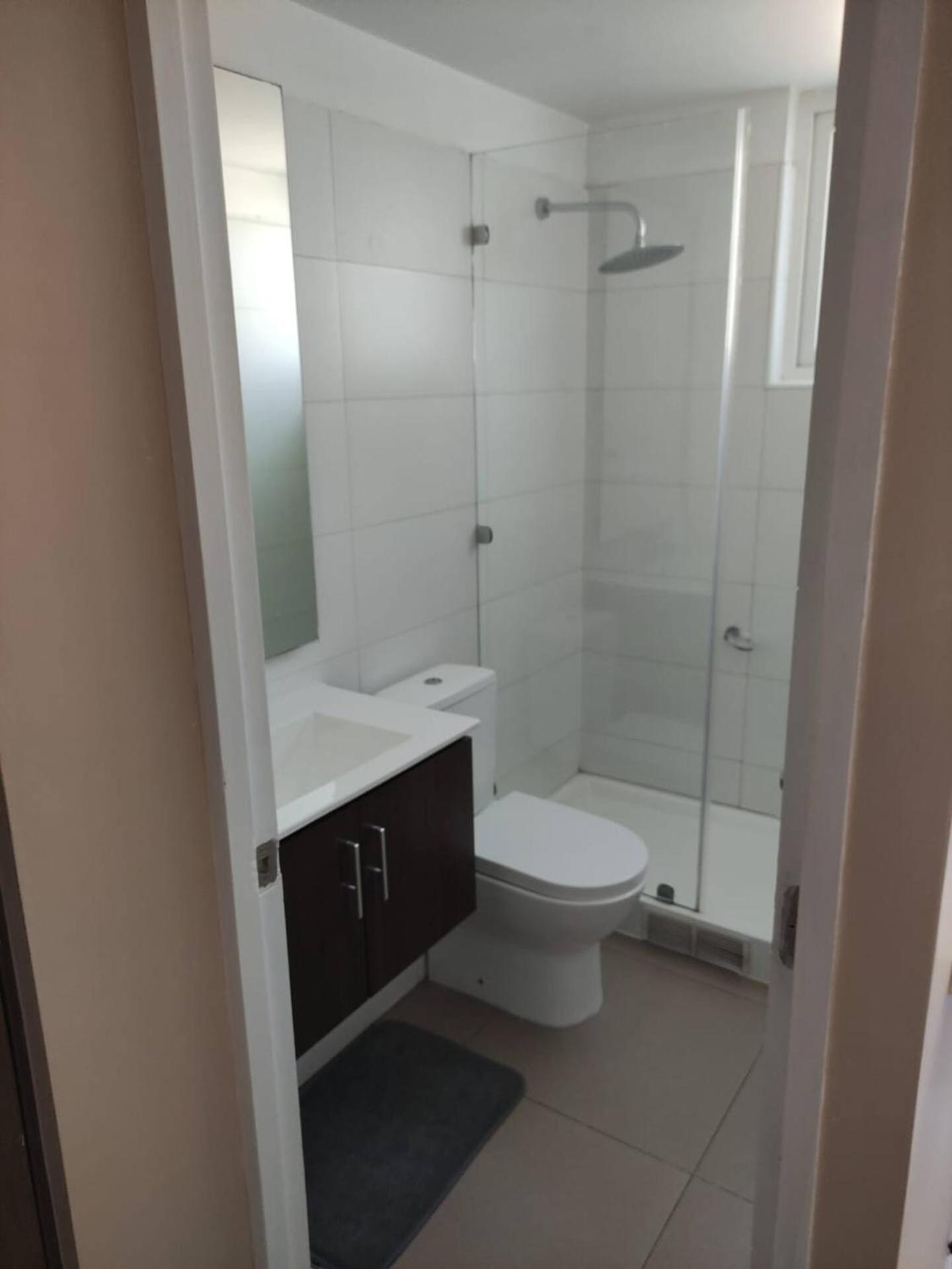 Departamento Acogedor En Centro * Santiago