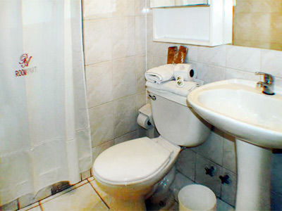 Roomapart Escuela Militar 3*