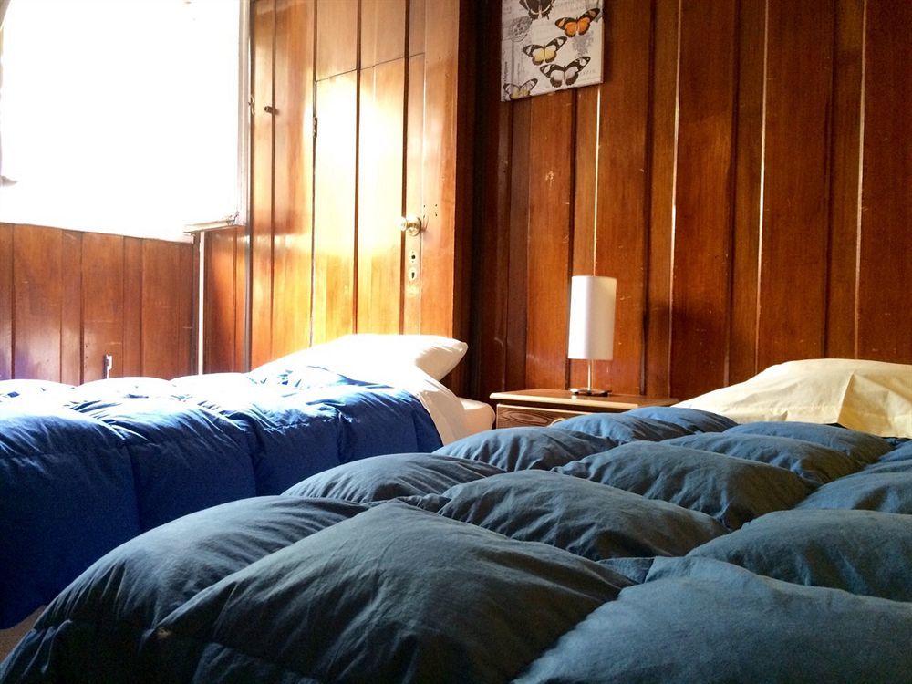 Salvador & Cafe Hostal