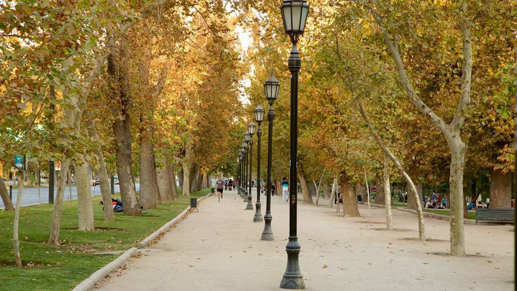 Park For Rent 5* Santiago de Chile