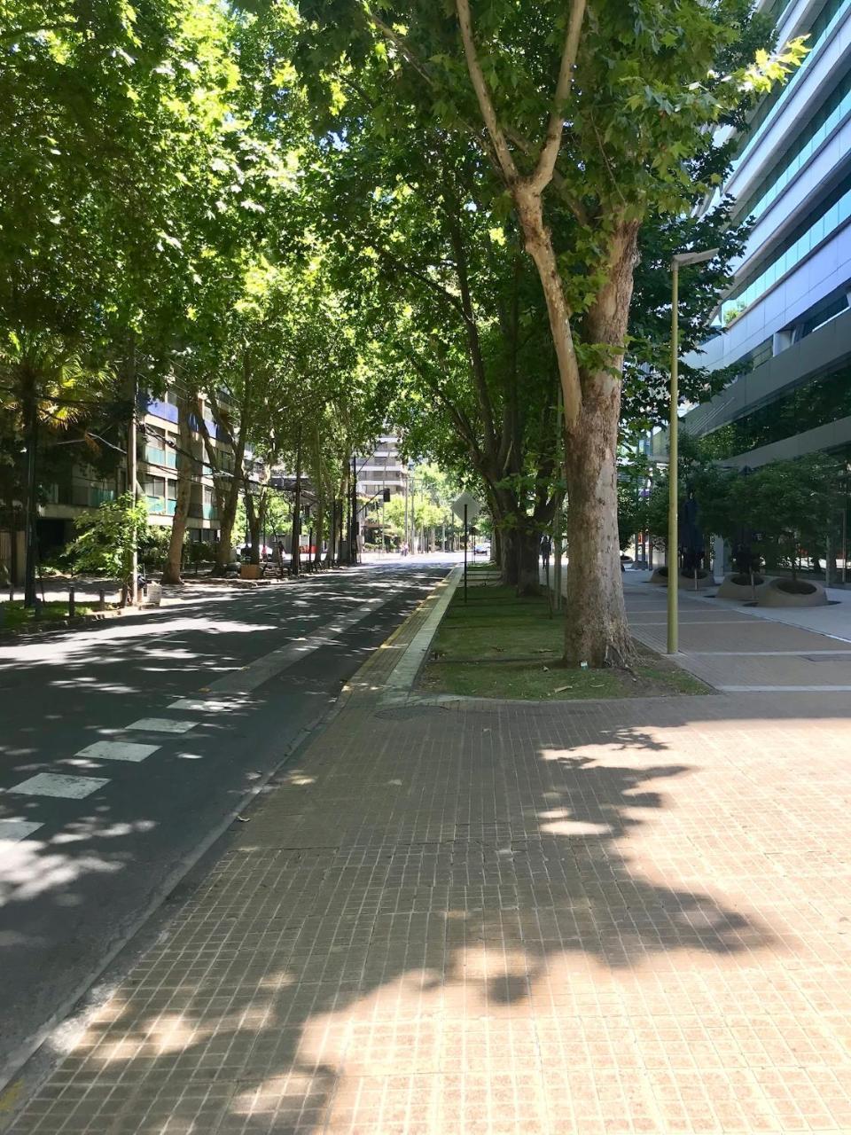 Apartamento Departamento Augusto Leguia 98