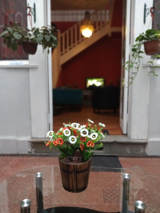 Bed and breakfast Grey & White House *