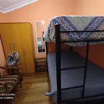 Gatos Tiernos
