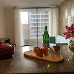 Grato y céntrico depto entre Providencia y Ñuñoa