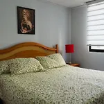 Apartamento Comodo Y Centrico En Santiago