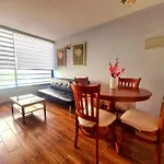 Apartamento 1 Habitacion Santiago Centro