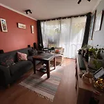 Comodidad Y Perfecta Ubicacion