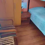 Gatos De Campo, Tiernos Y Traviesos