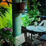 Gatos De Campo, Tiernos Y Traviesos