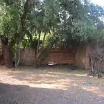 Cabaña Alfalfal