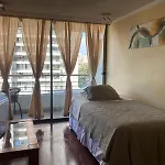 Ale Apartments Santiago-Providencia