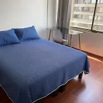 Santiago Central Apartment