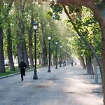 Bellavista Forestal Apartment
