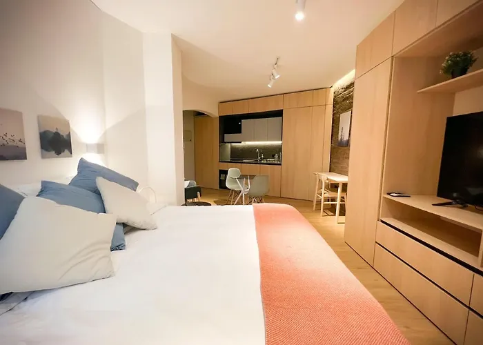 Hom I Encantador Depto Tipo Studio En Lastarria