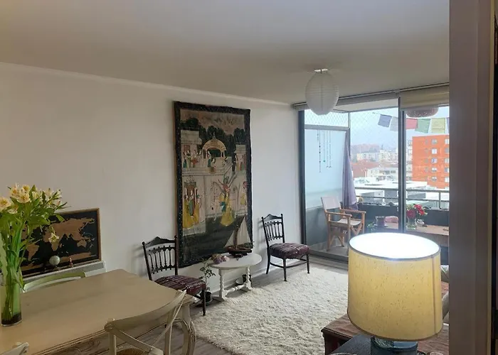 Departamento Luminoso A Pasos Del Barrio Italia Con Vista A La Cordillera