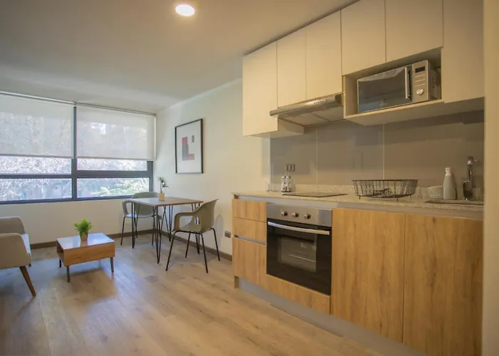 Descubre Santiago Apartstudio Urbano Y Elegante