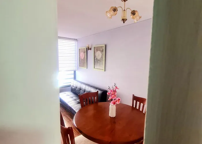 Apartamento 1 Habitacion Santiago Centro