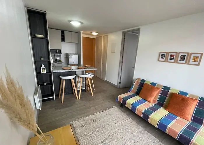 Departamento Renovado Cercano A Parque O\'Higgins