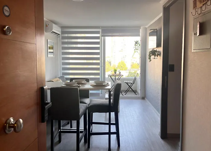 Acogedor Departamento Santiago