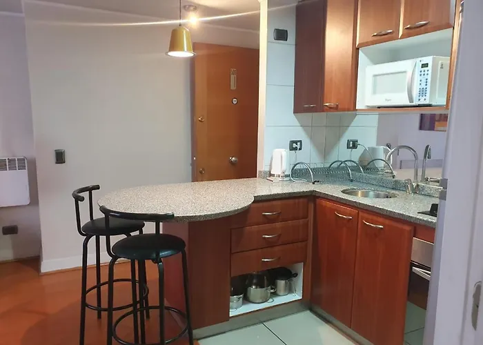 Departamento En El Corazon De Providencia, Entre Metro Los Leones Y Pedro De Valdivia