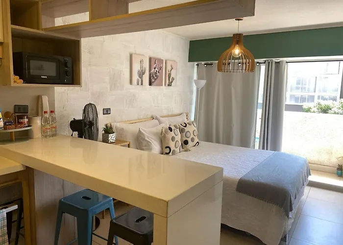 Lindo Departamento Tipo Loft En Nunoa
