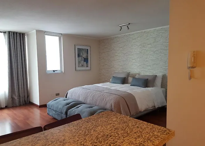 New Concept Apartments- Stgo Centro