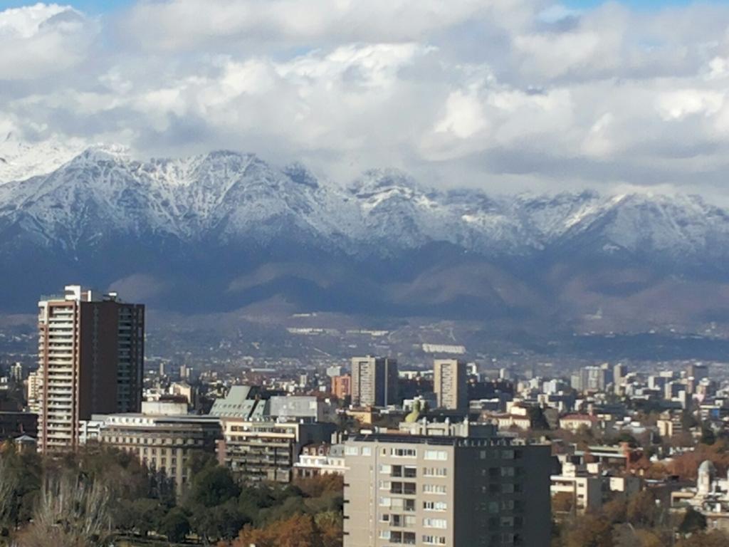 Bellavista Forestal