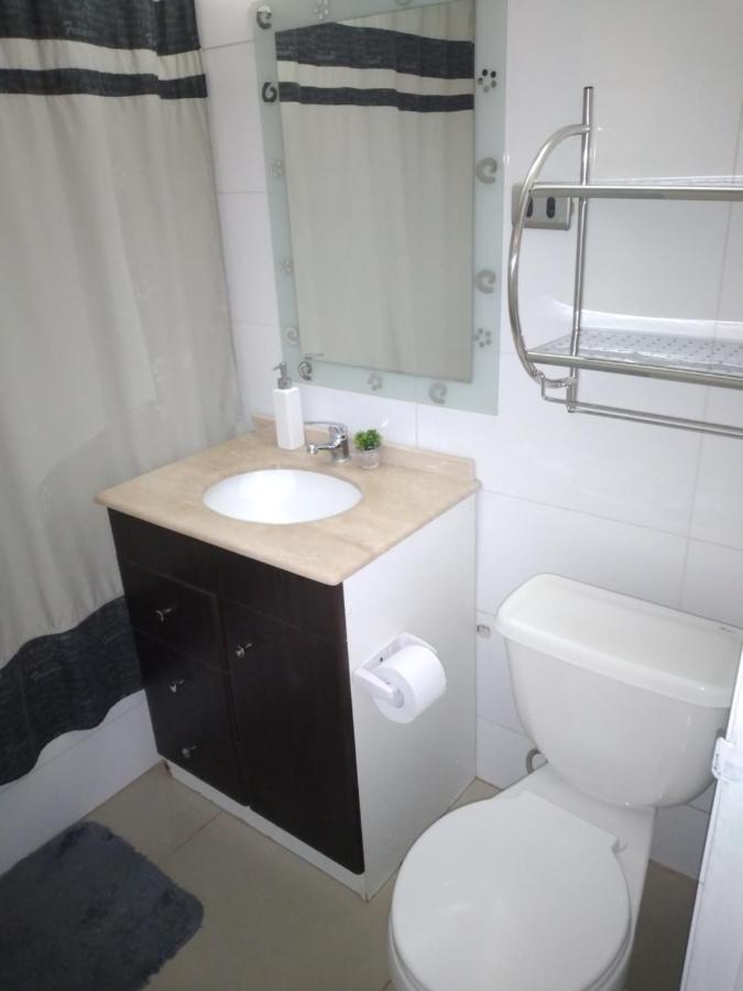 Departamento Providencia Apartamento