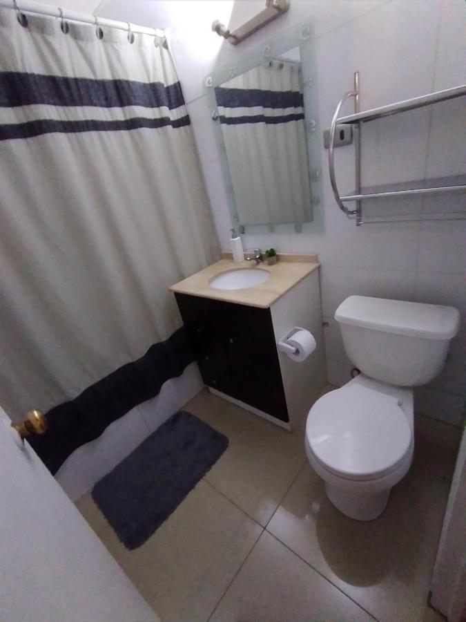 Departamento Providencia Apartamento *