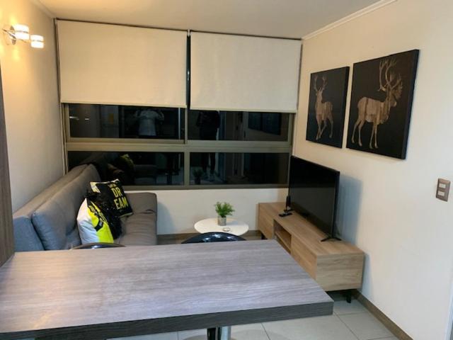 Apartamento Acogedor Departamento Santiago de Chile