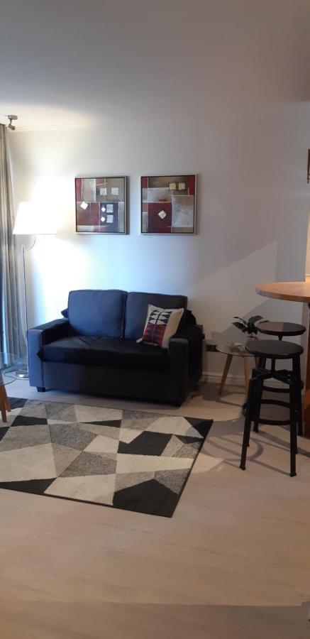 Apartment Departamento Comuna Providencia, Cercano Metro Leones Y Pedro De Valdivia *