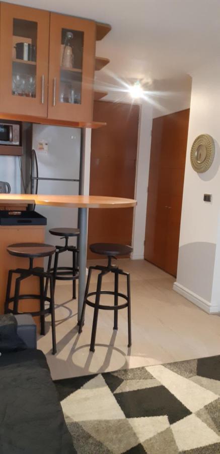 Departamento Comuna Providencia, Cercano Metro Leones Y Pedro De Valdivia Apartment